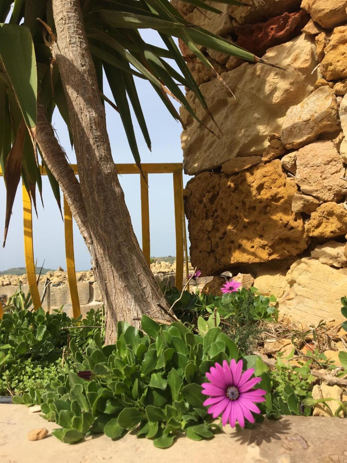 Islandlife With View Ta'pitra *